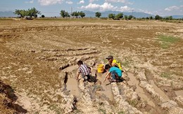 Ảnh hưởng của El Nino đến khí hậu Việt Nam