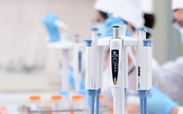 Người phụ nữ sốc khi biết thai trong bụng là con chồng, không phải con mình