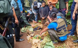 Chuyện chưa kể về những cuộc vây bắt 6 kẻ truy nã đặc biệt ở Đắk Lắk