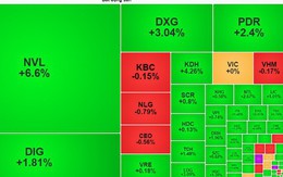 Nhà đầu tư vét sạch 70 triệu cổ phiếu Novaland trong 1 giờ