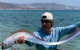 Những điều ít biết về loài cá được gọi là 'quái vật' dự báo động đất