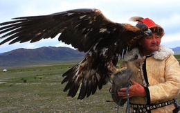 Phong tục săn bắt bằng chim ưng của dân du mục: Quá trình huấn luyện chim "tàn nhẫn" đến mức nào?