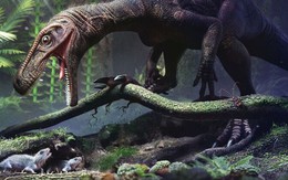 Phát hiện cơ chế hô hấp kỳ lạ của loài khủng long: Thở thông qua xương