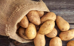 Không chỉ mọc mầm, khoai tây có hiện tượng này cũng cần vứt ngay, tránh có độc