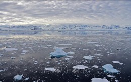 Nam Cực mất lượng băng biển bằng Argentina, thêm kỷ lục về khí hậu bị phá vỡ
