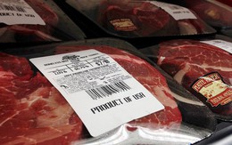 Chỉ 5 tháng, người Việt đã mua nửa tỷ USD một mặt hàng ngoại nhập