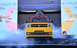 Mua ô tô điện Wuling Hongguang rẻ nhất Việt Nam, bạn nên cân nhắc điều này