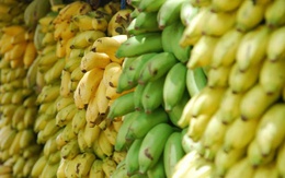 Giới khoa học tạo ra 'siêu chuối' giàu dinh dưỡng có thể cứu hàng triệu người