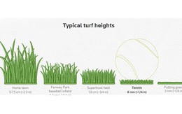 Bí mật về sân cỏ Wimbledon