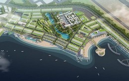 CLB Du thuyền và Nghỉ dưỡng Cam Ranh của đại gia cá tầm lãi 43 tỷ đồng, nợ phải trả gấp gần 8 lần vốn chủ sở hữu