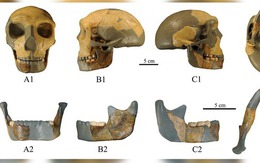 Hộp sọ cổ đại được phát hiện tại Trung Quốc không giống bất kỳ loài người nào khác được tìm thấy trước đây