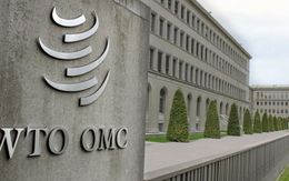 Trung Quốc chỉ trích 'tiêu chuẩn kép' của Mỹ tại WTO