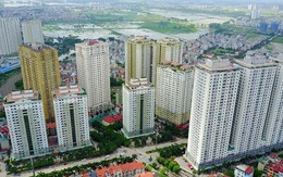 Doanh nghiệp của ‘đại gia điếu cày’ Lê Thanh Thản được gỡ bỏ vi phạm