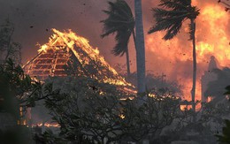 Cháy rừng nghiêm trọng ở Hawaii: Hệ thống cảnh báo lớn nhất thế giới không hoạt động