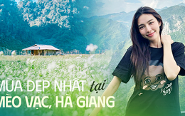 Khám phá Mèo Vạc, Hà Giang vào mùa đẹp nhất trong năm, đến Hoa hậu Thùy Tiên và Quang Linh Vlogs phải lặng người vì quá đẹp