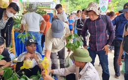 Tận thấy phiên chợ tiền tỷ của các 'đại gia'