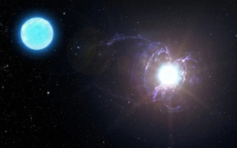 Phát hiện ngôi sao có từ tính mạnh nhất trong vũ trụ, hơn Mặt trời 43.000 lần