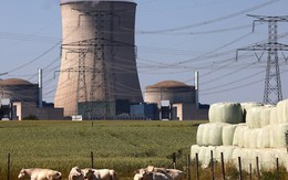 Châu Âu dồn sự chú ý vào điện hạt nhân