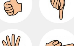 Câu đố không dành cho người kém thông minh: Bàn tay nào khác biệt nhất?