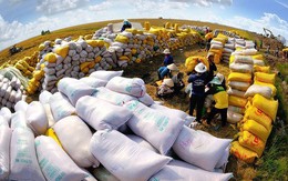 Các nước cấm xuất khẩu gạo, Bộ trưởng Công Thương nói 'không thừa thế xông lên'