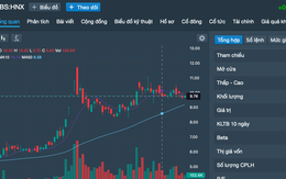 Chứng khoán Hòa Bình có tân Chủ tịch HĐQT 20 tuổi