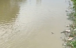 Tìm kiếm nữ công nhân rơi xuống sông mất tích ở Hà Nội