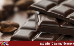 Chocolate sẽ đắt hơn khi giá ca cao tăng cao