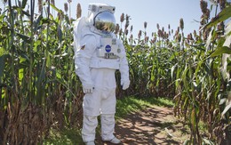 Vì sao các nhà sản xuất rượu nho Mỹ phải cầu viện 1 công nghệ đến từ NASA?