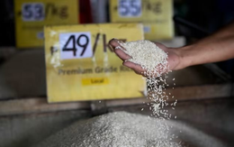 Một quốc gia châu Á chính thức áp giá trần đối với gạo để ngăn chặn bão giá, là khách hàng lớn nhất nhập khẩu gạo Việt Nam