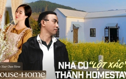 Thuê nhà cũ rồi tự tay sửa thành homestay kiếm tiền: Bước đầu tốn 200-300 triệu, sau đó thì sao?