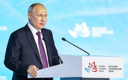 Tổng thống Putin: Nga không thể ngừng giao tranh nếu Ukraine phản công