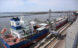 Ukraine vận chuyển 9,2 triệu tấn ngũ cốc qua cảng của Romania