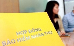 Đem hơn 10.000 tỷ gửi ngân hàng và mua trái phiếu, một doanh nghiệp bảo hiểm nhân thọ lãi lớn từ hoạt động tài chính