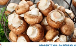 Lợi ích cho sức khỏe từ việc ăn nấm