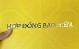 Nắm giữ hàng chục nghìn tỷ tiền gửi ngân hàng và trái phiếu, một doanh nghiệp bảo hiểm nhân thọ lãi kỷ lục trong nửa đầu năm