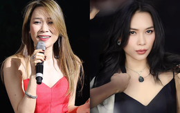 Mỹ Tâm ở tuổi 42: Bất ngờ tuyên bố 'có chồng rồi', nhan sắc và sự nghiệp cũng đều thăng hoa