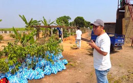Đi săn tìm giống cây, team châu Phi mừng rơn gặp loại cây ăn trái quen thuộc ở Việt Nam