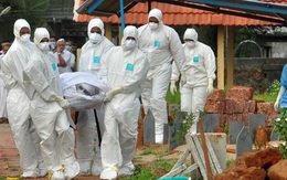 Virus Nipah bùng phát: Tỷ lệ tử vong cao gấp 20 lần COVID-19, WHO cảnh báo có thể gây ra đại dịch tiếp theo