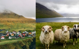 Faroe - quần đảo thiên đường của cừu và những ngôi nhà đầy sắc màu mọc trên cỏ xanh