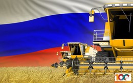 Ai Cập bất ngờ phá vỡ thỏa thuận ngũ cốc với Nga