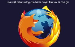 Rất ít người trả lời đúng: Biểu tượng của trình duyệt Firefox là con gì?