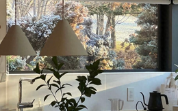 Cặp đôi xây nhà gần rừng để làm nơi "trú ẩn", từng góc nhỏ đều tinh tế