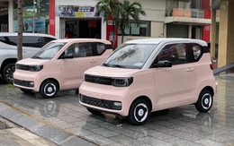 Lô Wuling HongGuang MiniEV bản thương mại giá từ 239 triệu ồ ạt về đại lý, đi trước VinFast VF 3 một bước