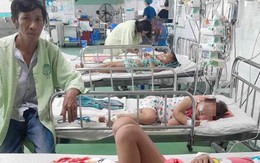 Quảng Nam: Bốn mẹ con bị đàn ong vò vẽ đốt phải nhập viện