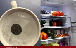 Tại sao nên để cốc nước đá có đồng xu bên trên trong tủ lạnh khi đi chơi xa?