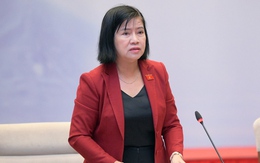 Bỏ rừng làm hồ thuỷ lợi ở Bình Thuận: Cơ quan thẩm tra của Quốc hội thông tin