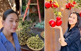 Đã mắt với vườn trái cây trong biệt thự của Hoa hậu Dương Mỹ Linh, có 1 góc đặc biệt ai xa quê cũng thích