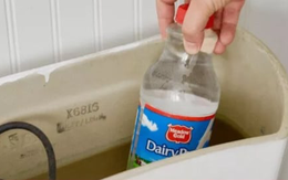 Đặt chai nhựa vào bể chứa nước của bồn cầu có tác dụng gì?