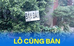 Nỗi lòng nhà đầu tư: “Đã bán lỗ còn bị ép giá giảm đến 50%”