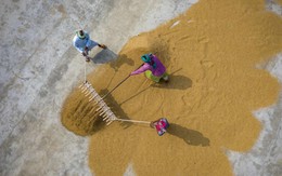 Giám đốc Đài quan sát Trái đất Singapore cầu mong El Niño "chỉ như đốm lửa"